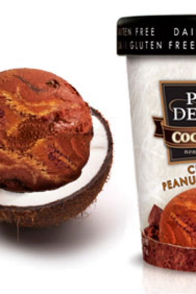 Dairy Free Coconut Milk Ice Cream